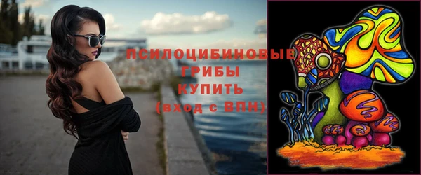 сатива Магадан