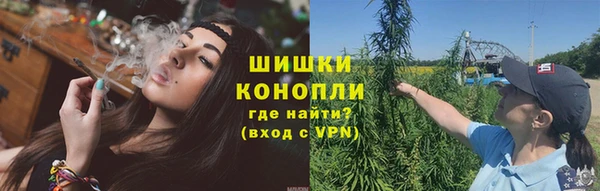 гидра Медногорск