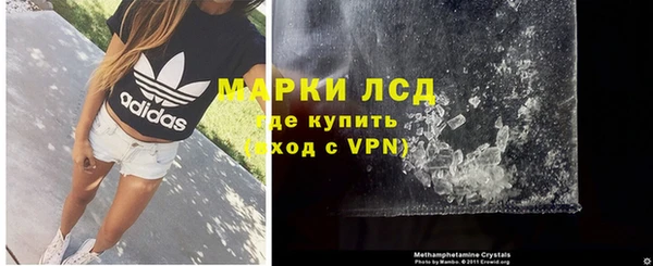 ПСИЛОЦИБИНОВЫЕ ГРИБЫ Магас