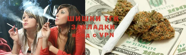 сатива Магадан