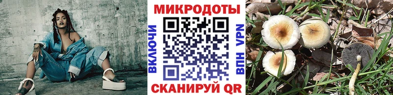 хочу   Советская Гавань  Псилоцибиновые грибы мухоморы 