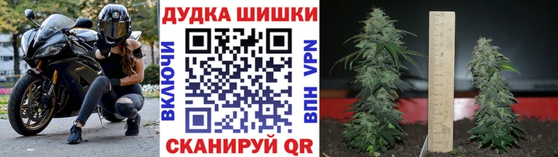 Шишки марихуана White Widow  Советская Гавань 